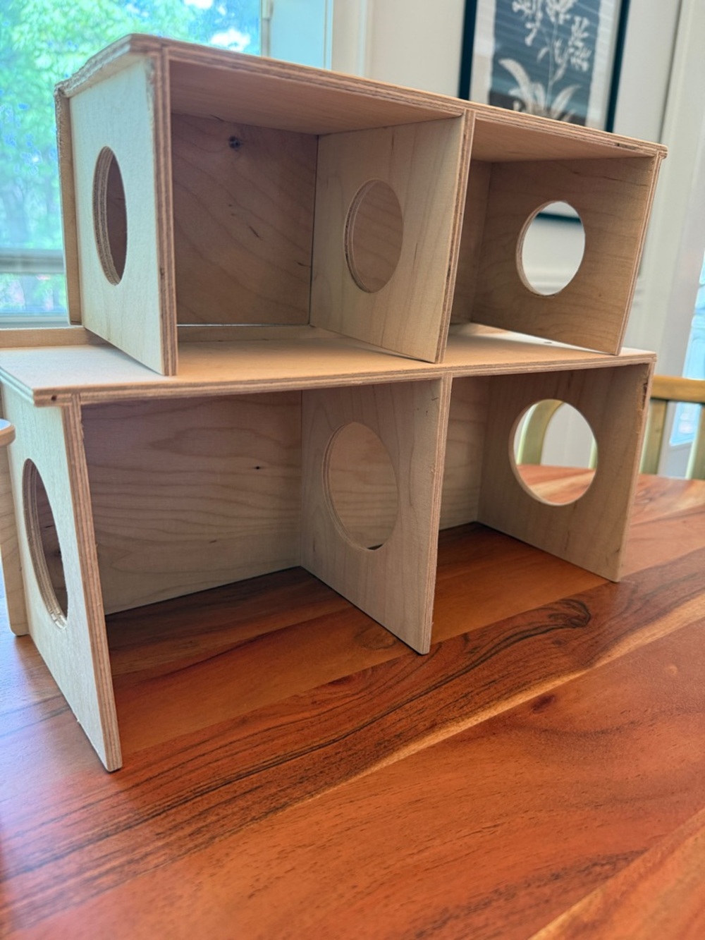 Niteangel Hamster Platforms and Accessories